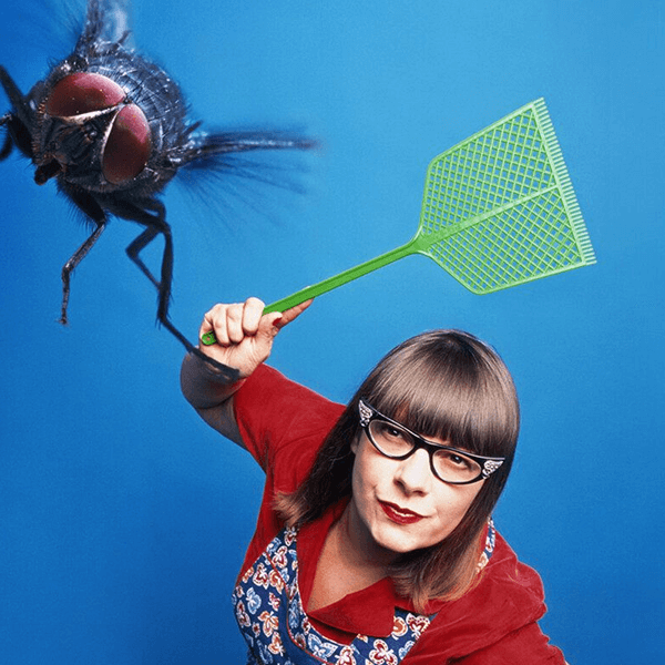 Sinekleri Evden Uzak Tutmanın Doğal Yolları : Kapak Görseli